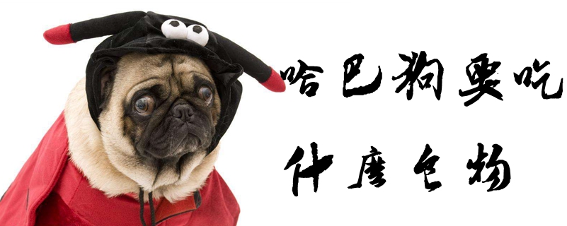 哈巴狗要吃那些食物