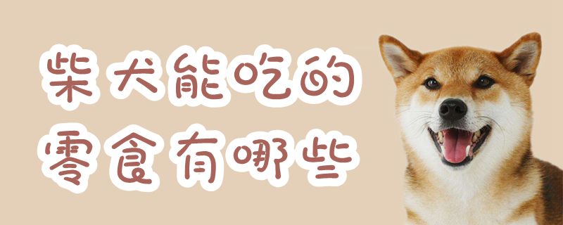 柴犬能吃的零食有哪些-第1张图片 柴犬能吃的零食有哪些-第1张图片