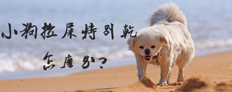 小狗拉大便特别干如何解决