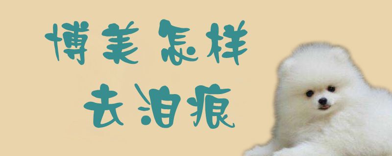 博美如何去泪痕