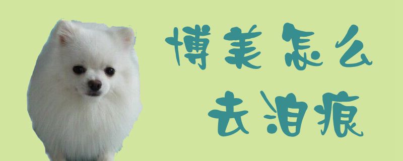 博美如何去泪痕