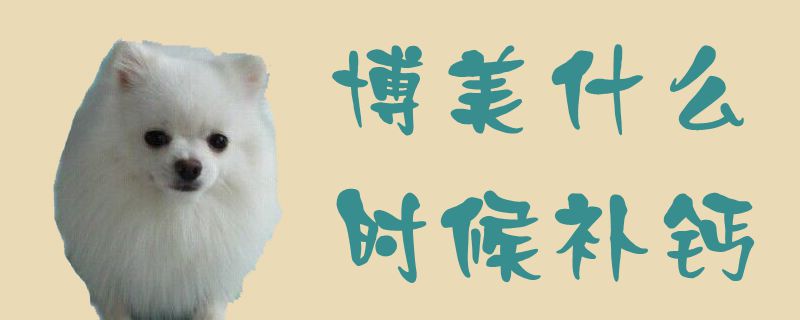 博美什么时间补钙