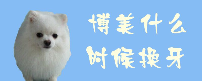 博美什么时间换牙