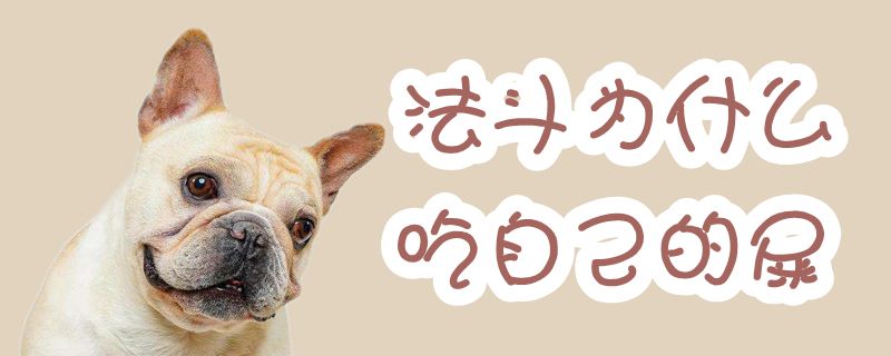 法斗为何吃我们的屎