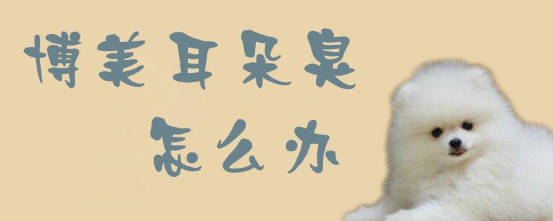 博美耳朵臭如何解决
