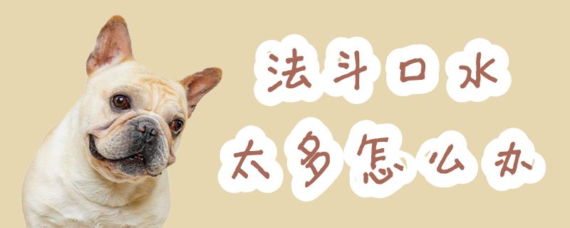 法斗口水太多如何解决