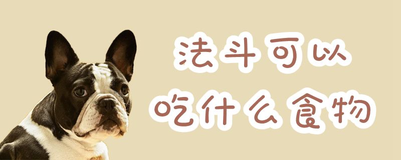 法斗可以吃那些食物