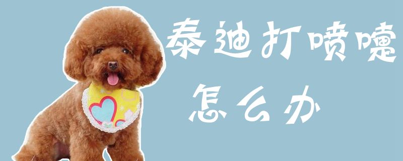 泰迪打喷嚏如何解决