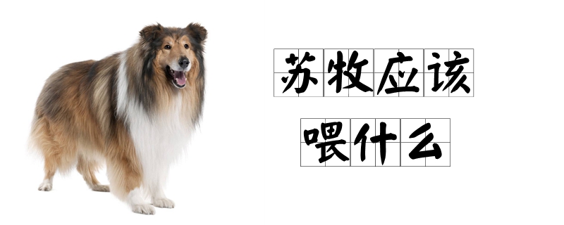 苏牧应该喂什么