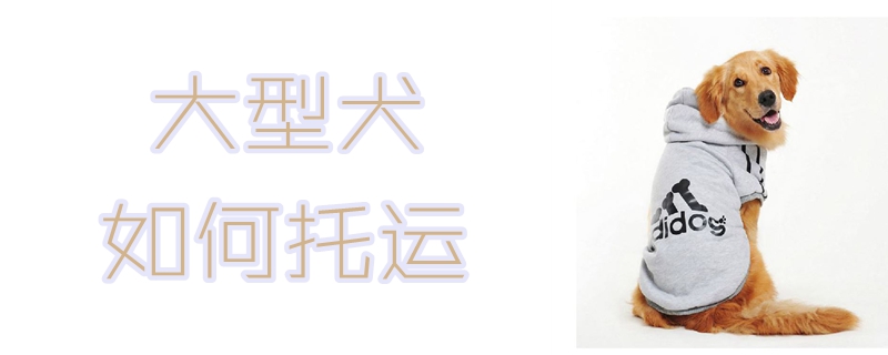 大型犬怎么样托运