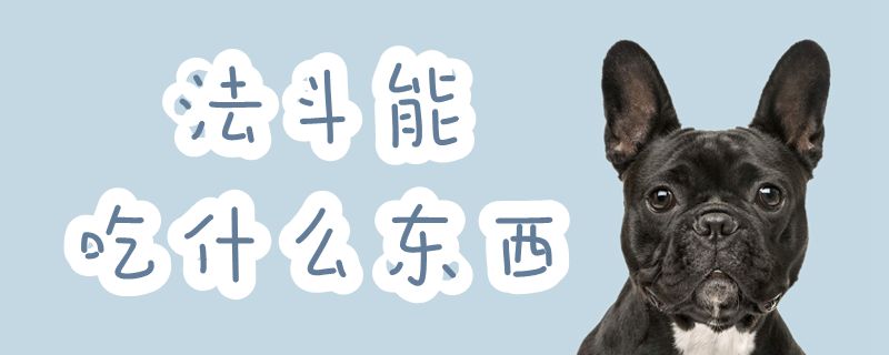 法斗可以吃什么东西