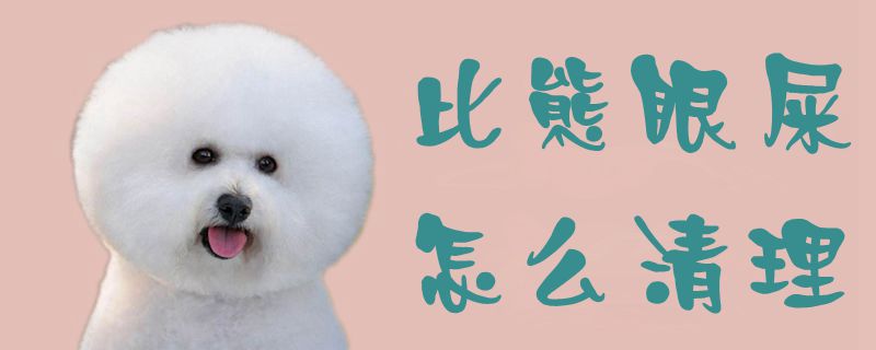 比熊眼屎如何清理