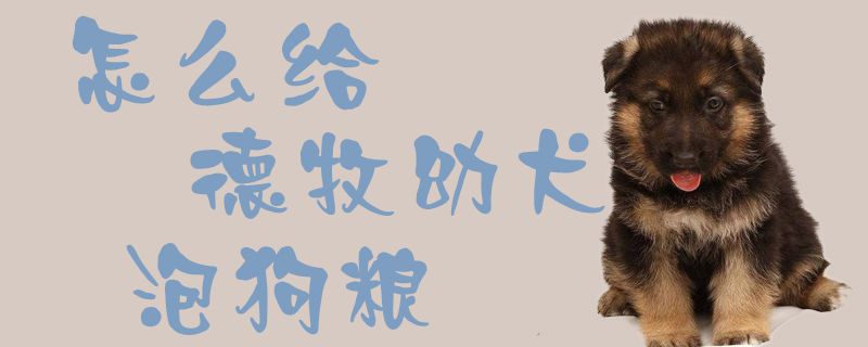 如何给德牧幼犬泡狗粮