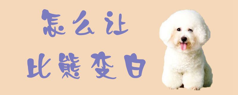 如何让比熊变白