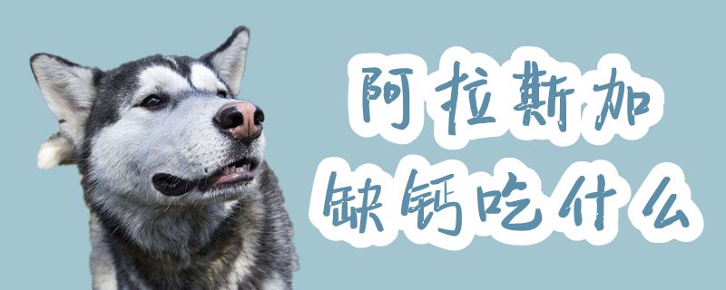 阿拉斯加缺钙吃那些