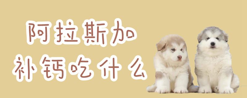 阿拉斯加补钙吃那些