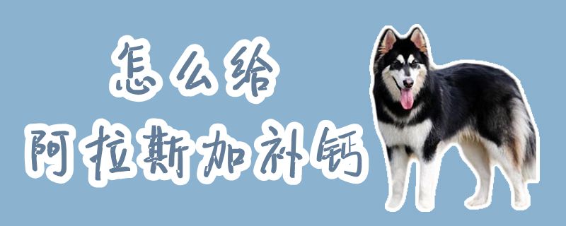 如何给阿拉斯加补钙