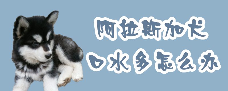 阿拉斯加犬口水多如何解决