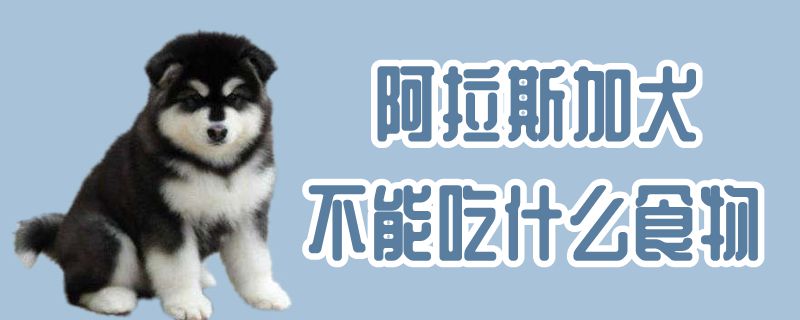 阿拉斯加犬不可以吃那些食物