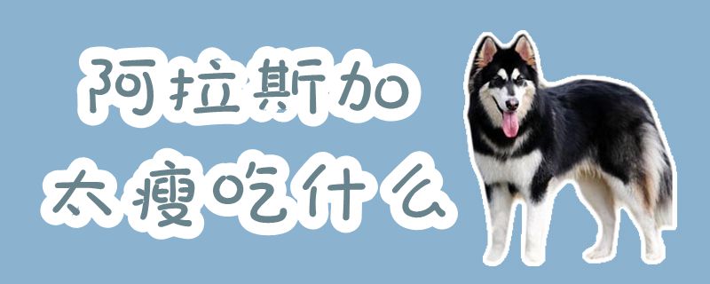 阿拉斯加太瘦吃那些