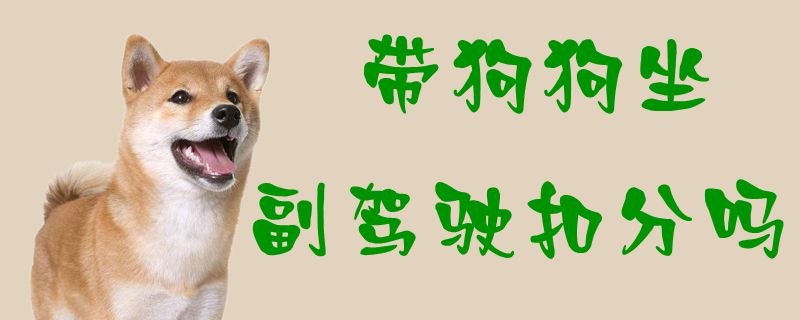带狗狗坐副驾驶扣分吗