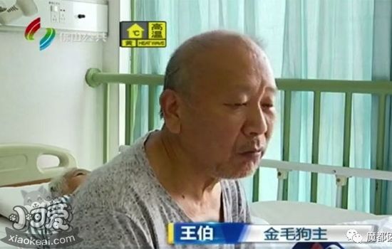 打死金毛犬被刑拘续：媒体称涉案男子打到老人