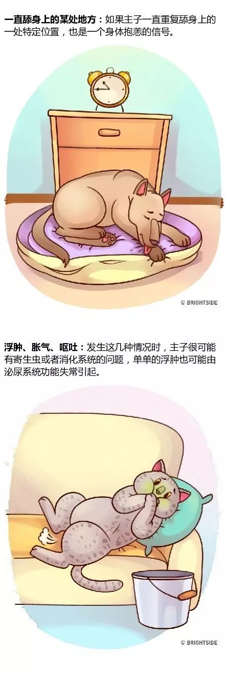 家宠物生病的14种症状！