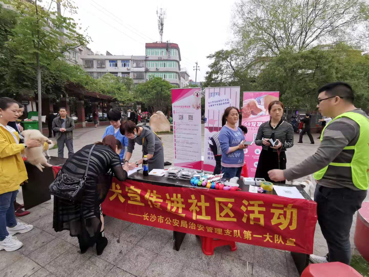 10月29日在雨花区洞井街道,左家塘街道,砂子塘街道,东山街道,黎托街道