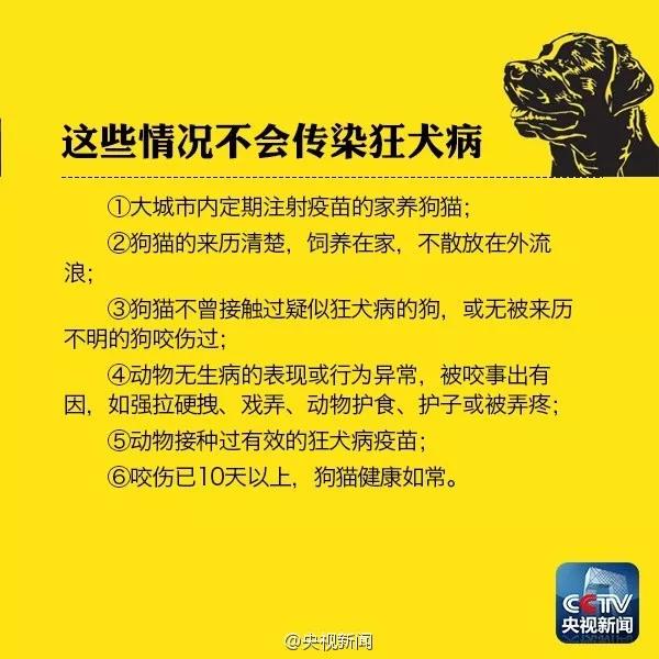 被流浪猫咬了出血了怎么办 需要打针吗?