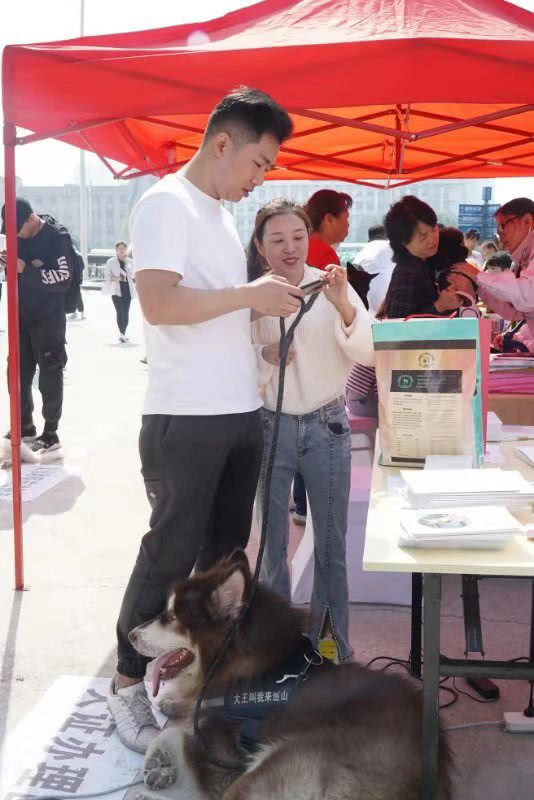 长沙多部门联合开展便民服务 可爱的狗狗领到电子身份证