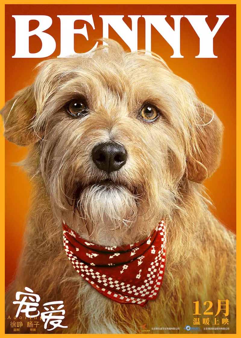 电影宠爱里的狗是什么品种，巴顿是串串吗？