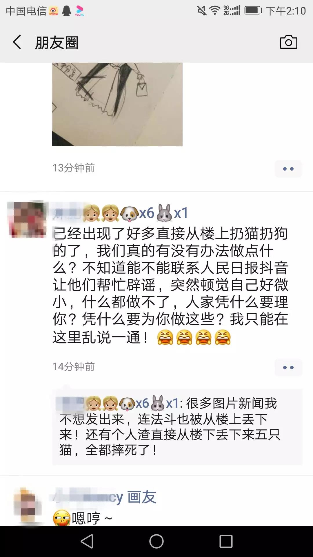 猫会不会感染新型冠状病毒 那些处死猫的主人到底在想什么