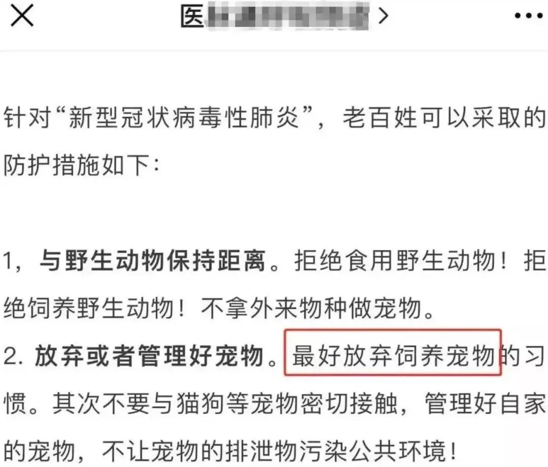 猫会不会感染新型冠状病毒 那些处死猫的主人到底在想什么