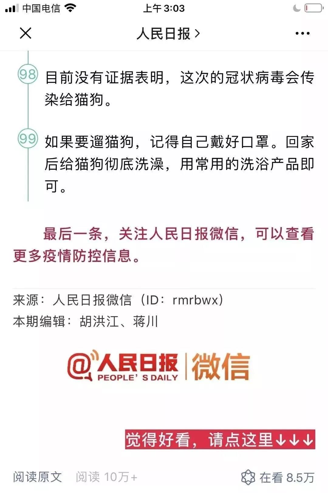 猫会不会感染新型冠状病毒 那些处死猫的主人到底在想什么