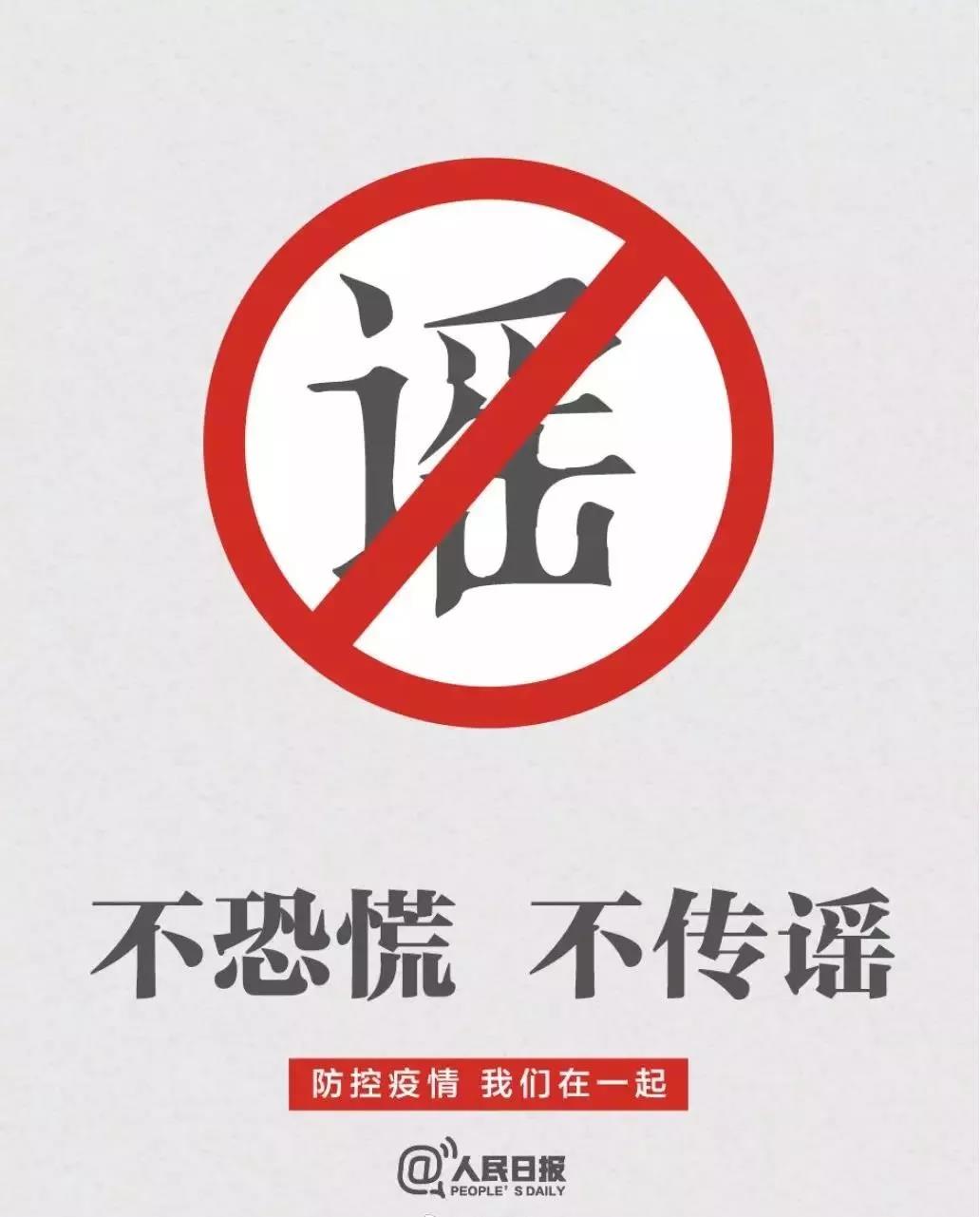 猫会不会感染新型冠状病毒 那些处死猫的主人到底在想什么