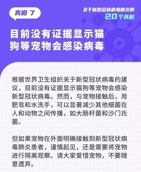 疫情对猫狗有影响吗 猫狗应该如何度过疫情期间