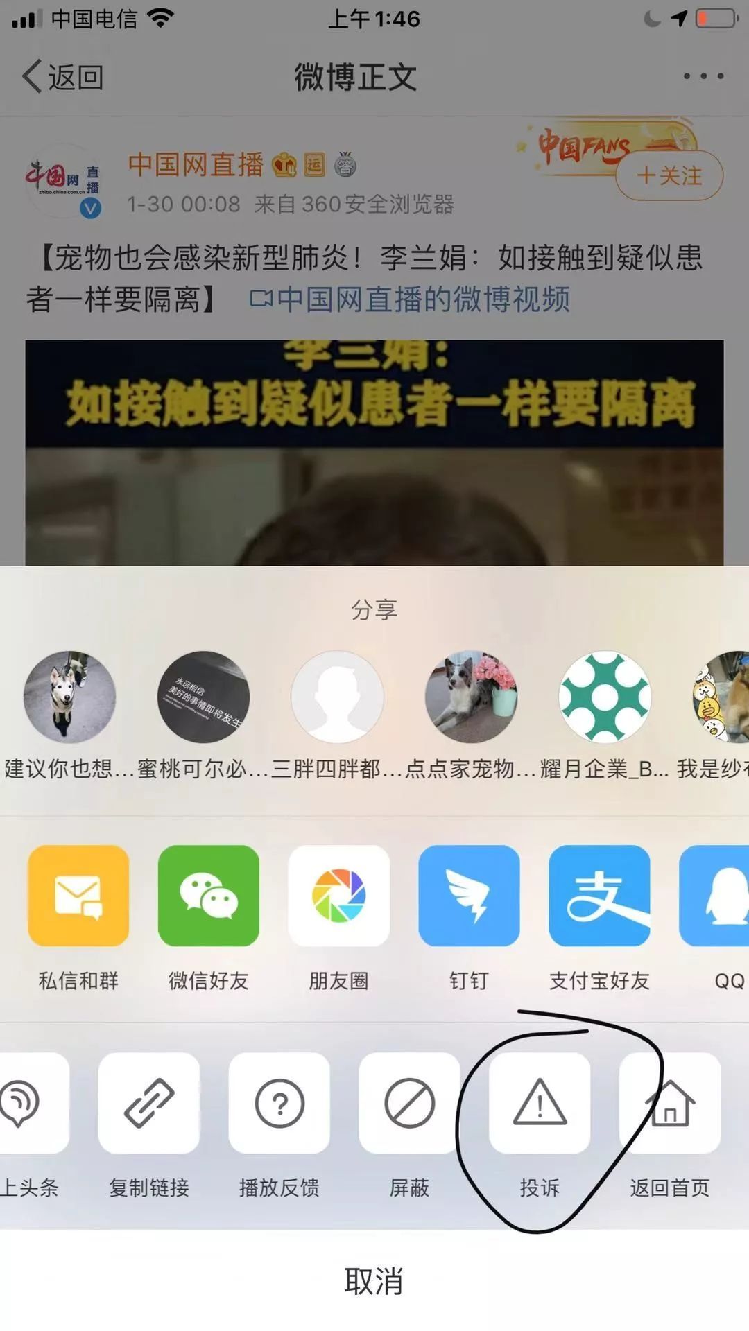 李兰娟说宠物会感染新型肺炎 如何正确解读