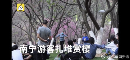 南宁疫期800人扎堆赏山樱花 戴口罩也应保持距离!