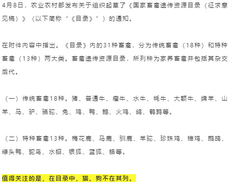 国家畜禽遗传资源目录征求意见没有猫狗 禁食猫狗全国推行