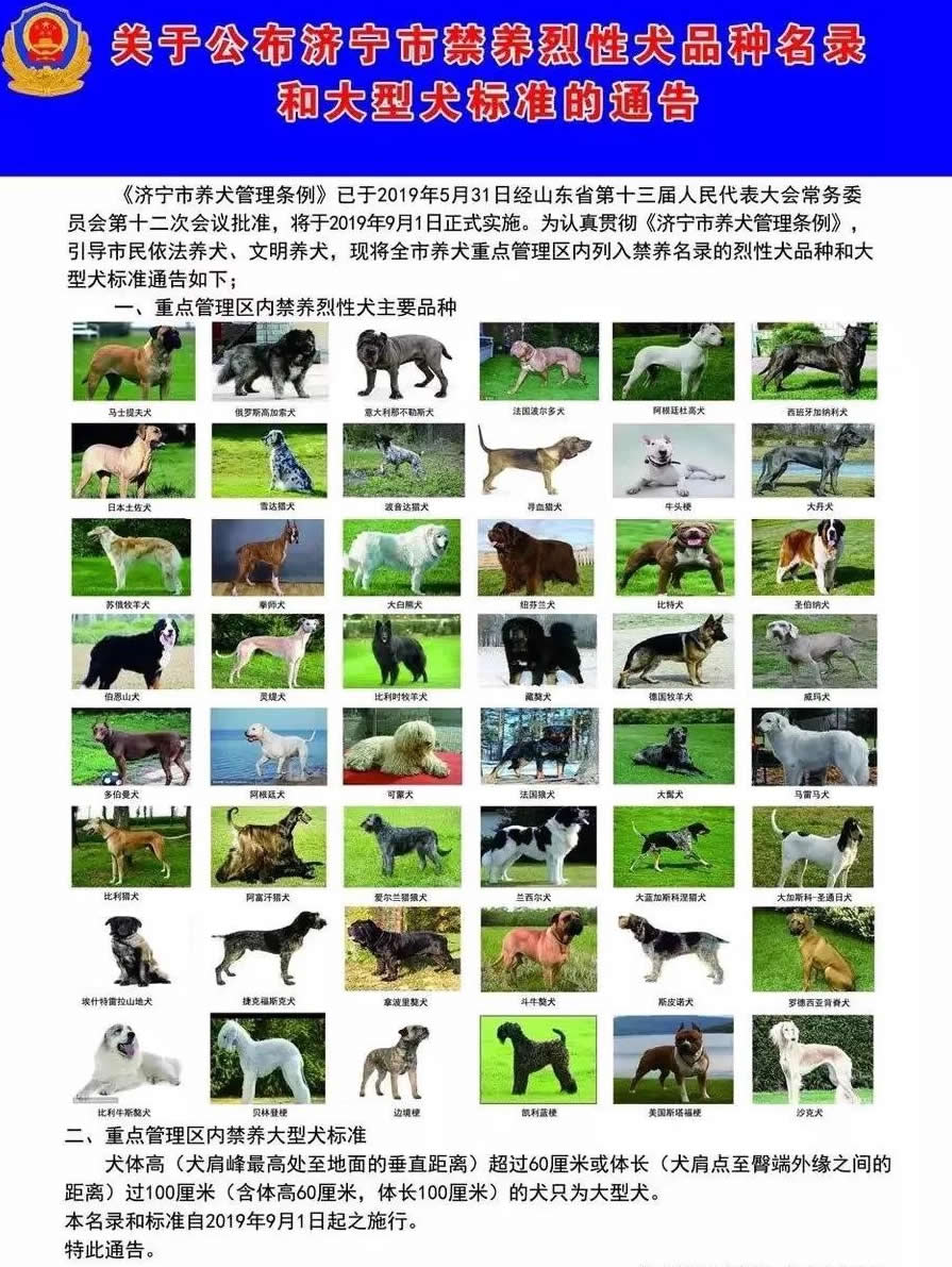 济宁网上办理犬证流程 济宁养犬证怎么办理