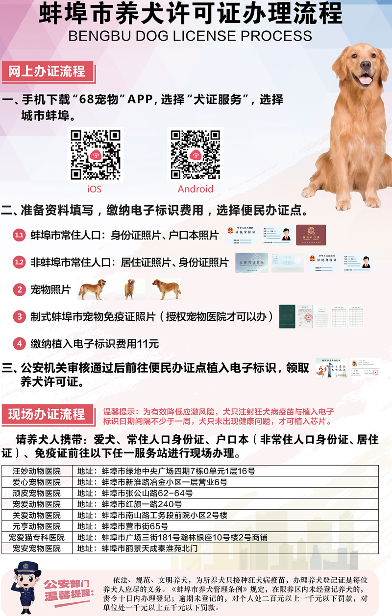 蚌埠狗证流程，蚌埠养犬许可证办理流程