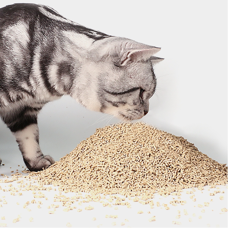 猫砂测评：猫砂种类那么多，到底该宠幸谁？