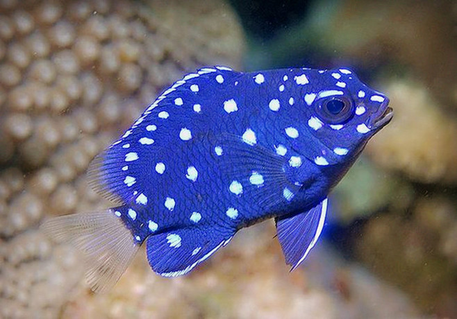 养鱼困水的正确方法