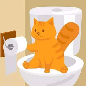 【科普】猫咪如厕的8大“奇葩”行为~