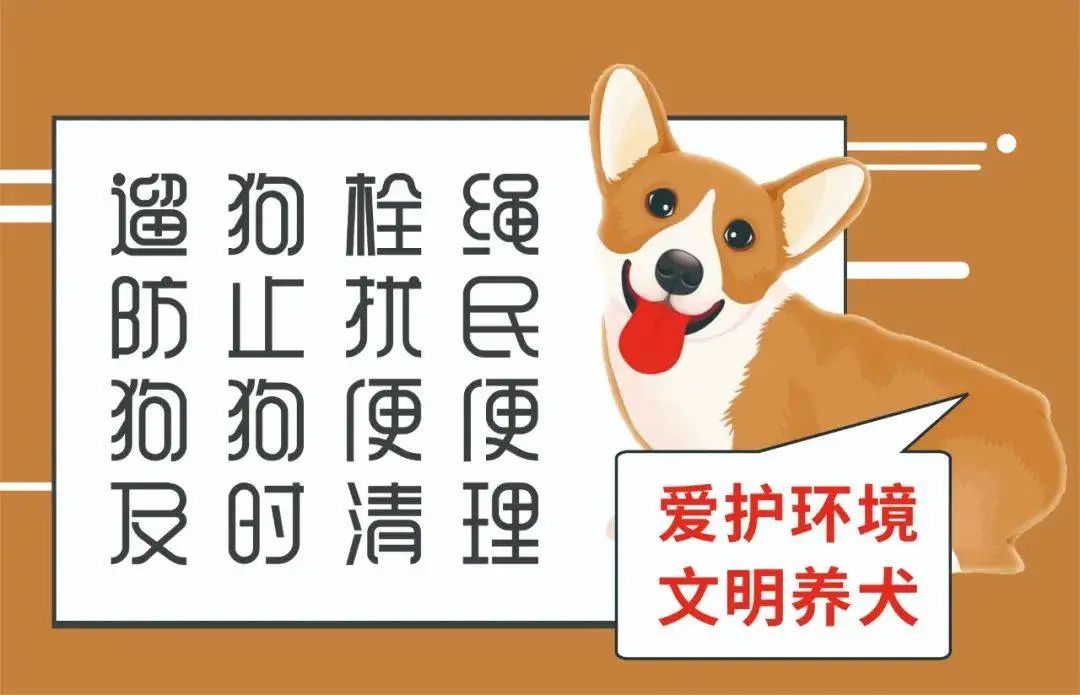 《大冶市城区养犬管理办法》正式印发！2022年5月1日起施行