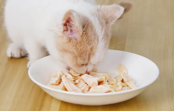 猫咪可以吃生鸡胸肉吗