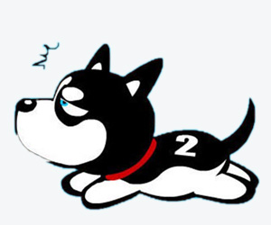 狗钩虫病怎么治疗