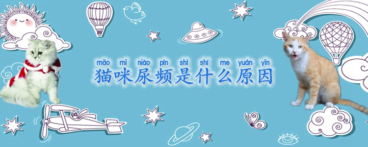 貓咪尿頻是什麼原因