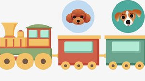 火车托运宠物流程