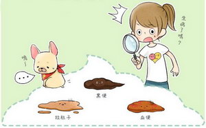 小狗拉肚子怎么办